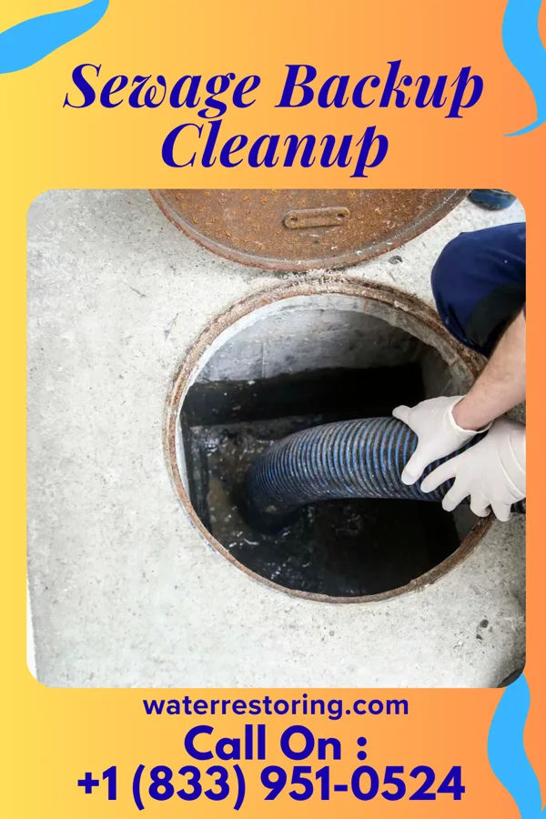 Sewage Backup Cleanup in Payneway, AR